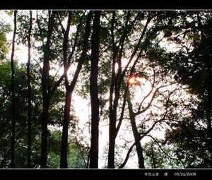 貴州省興義一中