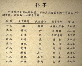 清代官服補圖 清代官服補圖