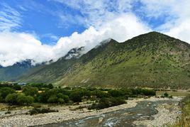 植被垂直分帶 植被垂直分帶