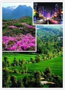 貴州黔西 貴州黔西