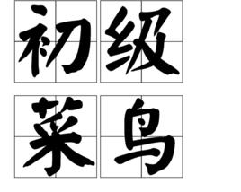 初級菜鳥 初級菜鳥