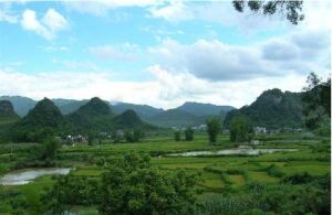 岩灣村[湖南省沅陵縣杜家坪鄉下轄村]