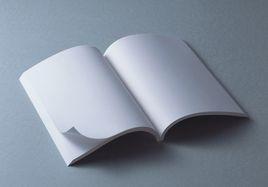 網路四大名著 網路四大名著