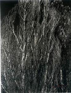 阿爾弗雷德·斯蒂格里茨