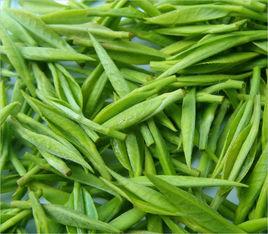 七佛貢茶 七佛貢茶