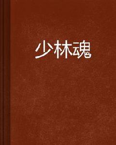少林魂[韓雨石所著小說]