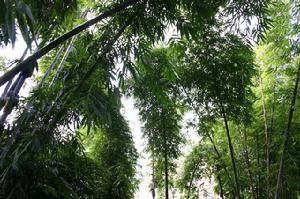 （圖）忙畔街道辦事處