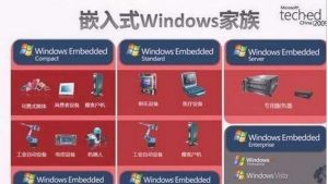 嵌入式辭彙 嵌入式辭彙