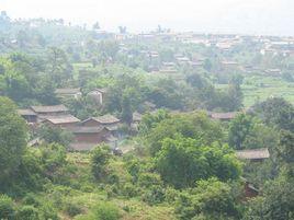 金民村委會 金民村委會