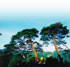 大明山自然保護區