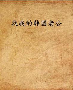 找我的韓國老公 找我的韓國老公