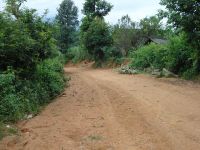 長樹林坡自然村 長樹林坡自然村