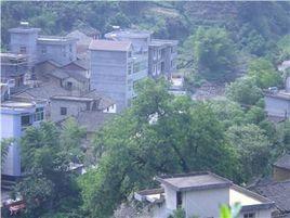 三聯村[廣西南寧市西鄉塘區金陵鎮三聯村]