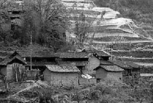 雲南癌症村 雲南癌症村