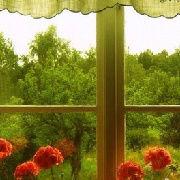 讀書推薦 讀書推薦