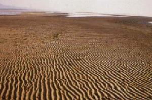 海洋的地質作用