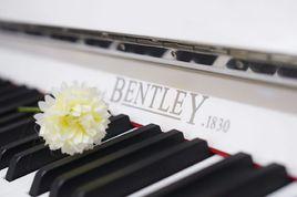 本特利鋼琴 本特利鋼琴