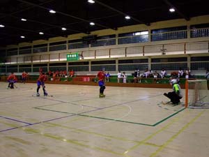 澳門鮑思高綜合體育館