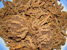 利川市[中國湖北省恩施州下轄市]