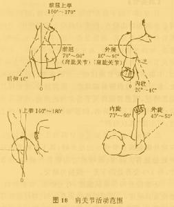 肩關節外展活動