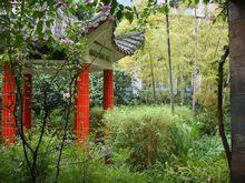 學校景觀 - 校本部