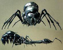 蟲族[科幻電影《星河戰隊》中的阿拉奇蟲族]