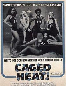 監獄風雲錄 監獄風雲錄