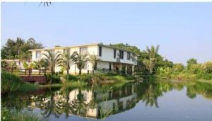 金海生態園 金海生態園