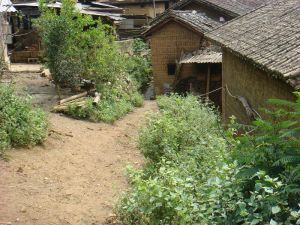 陸半甲自然村 陸半甲自然村