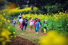 白沙[福建省福州市鄉鎮區劃名稱]