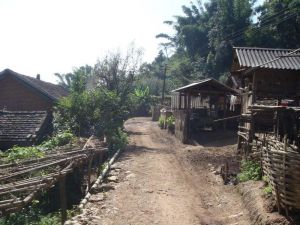 龍島新寨村 龍島新寨村