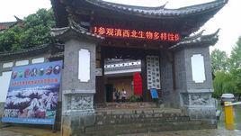 東巴文化博物院 東巴文化博物院