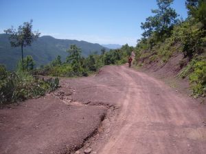 六甲自然村 六甲自然村