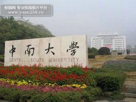 中南學校 中南學校