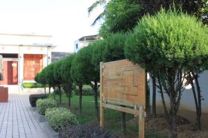 毛主席視察舒茶紀念館