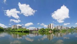 藍天行動 藍天行動