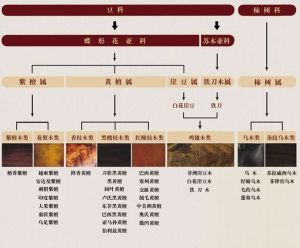 《紅木》國家標準規定了紅木樹種名稱及其木材的類別和特徵