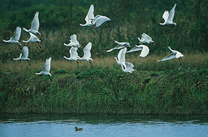 《我們的子女》