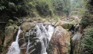 宗郎古柳靈泉景區 宗郎古柳靈泉景區