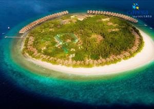 馬爾地夫月桂島 馬爾地夫月桂島