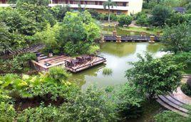 尚天然國際溫泉小鎮 尚天然國際溫泉小鎮