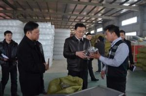 羅河工業園區 羅河工業園區