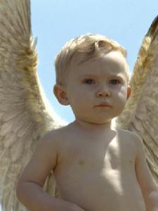 讓愛飛起來[法國、義大利2009年弗朗索瓦&middot;歐容執導電影]