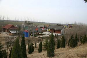 菏澤仿山 菏澤仿山