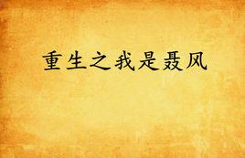 重生之我是聶風 重生之我是聶風