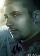 哈利·波特[華納兄弟出品的系列改編電影]