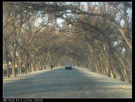 託克遜鎮 託克遜鎮