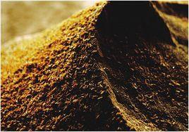 張支雲酒 張支雲酒