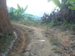 外板橋自然村 外板橋自然村