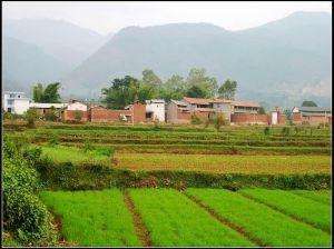 白馬廟村三組 白馬廟村三組